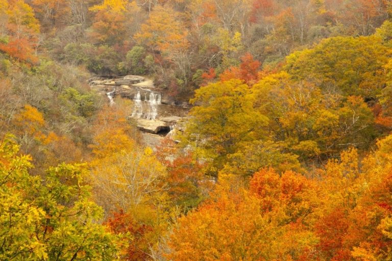 WNC Healthy Impact Hospital & Public Health Agency Partnership